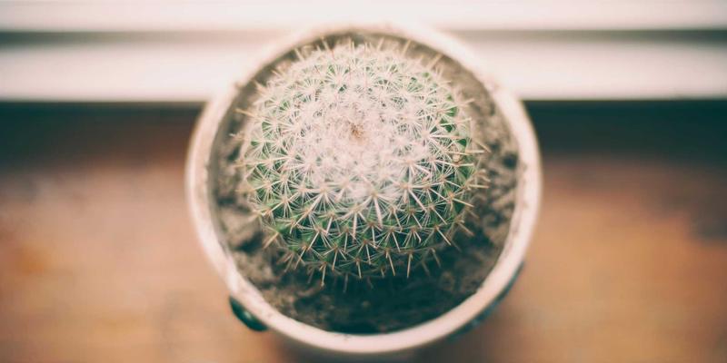 从零到百：大地6公会建设与管理进阶指南，打造高粘性社区服务生态