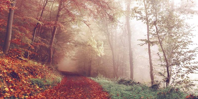 大地6PVP竞技场制霸指南：职业对战精髓与阵容搭配全解析 | 本地玩家社区实战心得