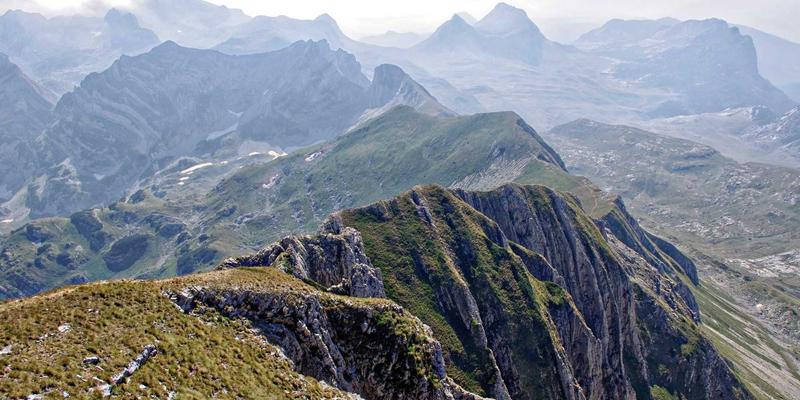 大地6便民服务:一站式钓鱼烹饪全攻略,稀有鱼分布与顶级BUFF食物制作