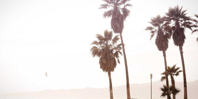 大地6声望速刷全攻略：军需官奖励解析与高效崇拜技巧，一周刷满不是梦！