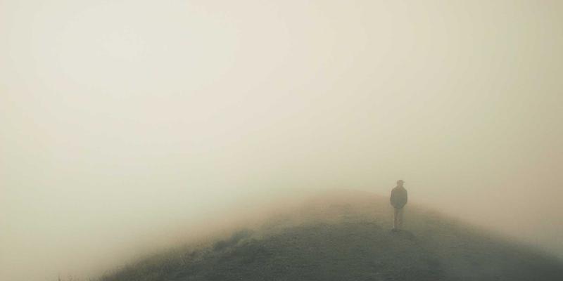 《大地6》宠物系统深度解析：稀有宠物获取与高效培养全攻略