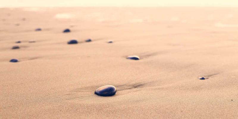 大地6技能树终极指南：从综合信息到生活服务，构建你的全能角色Build