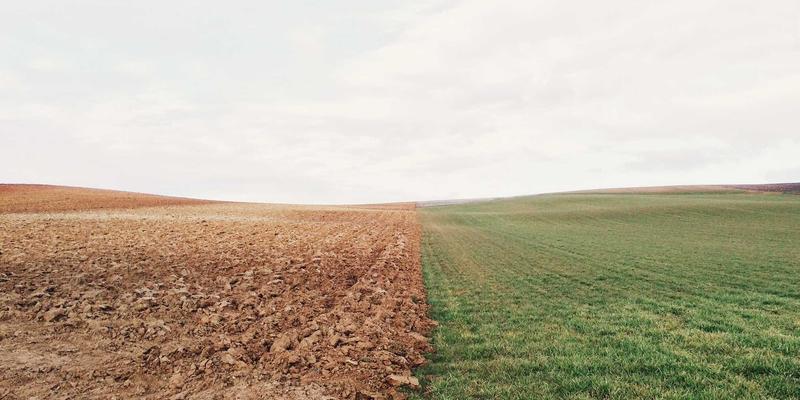 大地6新手职业选择指南：哪个职业最适合你？社区服务式深度解析