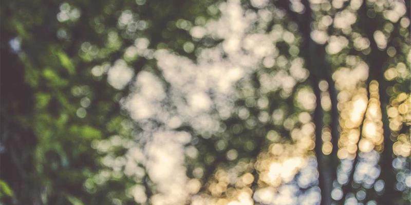 【本地玩家必看】大地6世界BOSS全攻略：刷新时间、团队配置与极品装备掉落详解