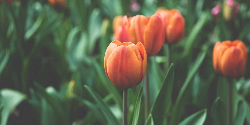 【社区服务指南】大地6全地图稀有精英刷新点与掉落物总览:一站式高效Farm路线规划